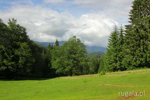 Przełęcz Jiu-Cerna - 1375 m