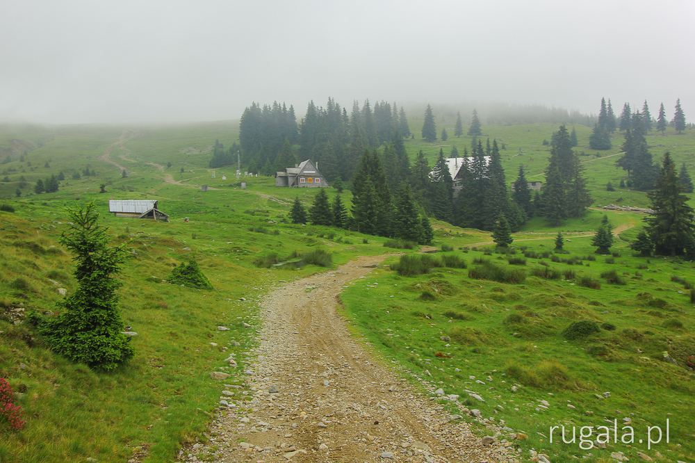 Cuntu, Góry Țarcu