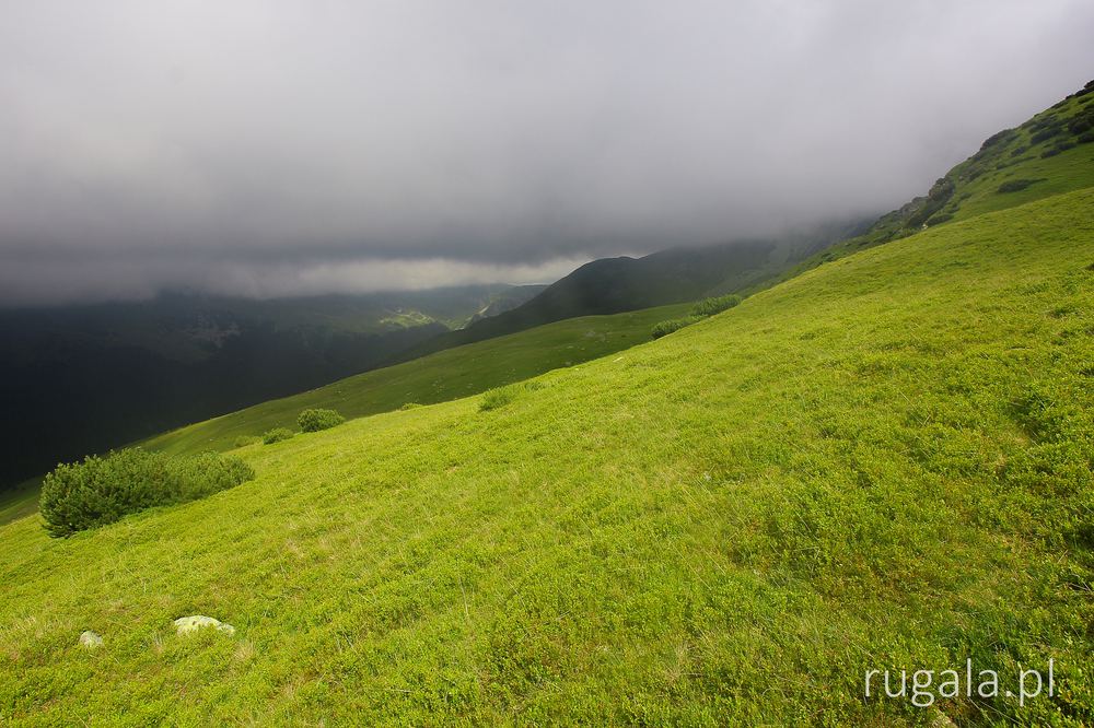 Zejśce w deszczu z Brusturu, Góry Țarcu