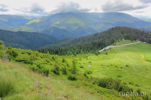 Góry Țarcu - widok z drogi na Muntele Mic
