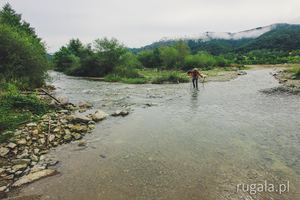 Przekraczanie rzeki Iadu, Pădurea Craiului