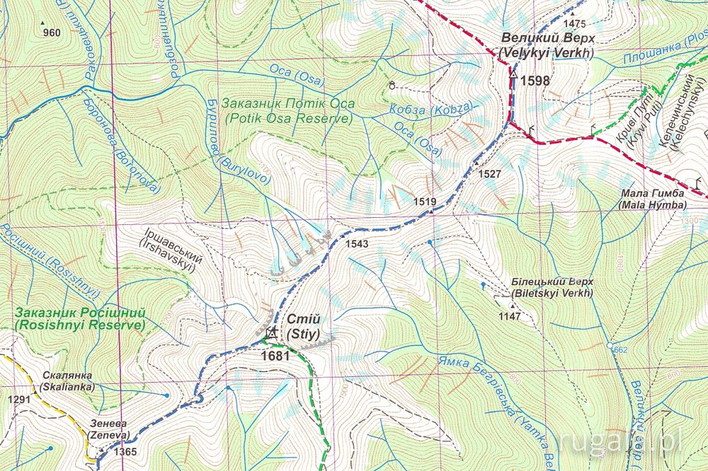 Przykład mapy ASSA - Borżawa, okolice Stija