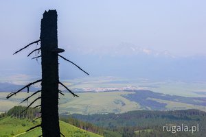 Widok spod Ihly w Górach Lewockich na Tatry