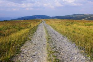 Droga z wierzchołka Muntele Mare w kierunku wychodni skalnej / rumowiska (Pietrele Cântătoare)