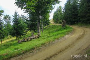 Droga z przełęczy Boncuța na Tabla Buții