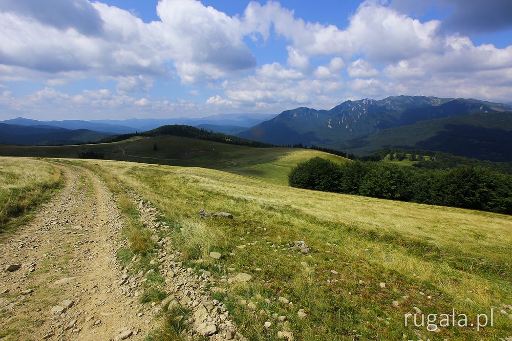Przez Munții Tătaru