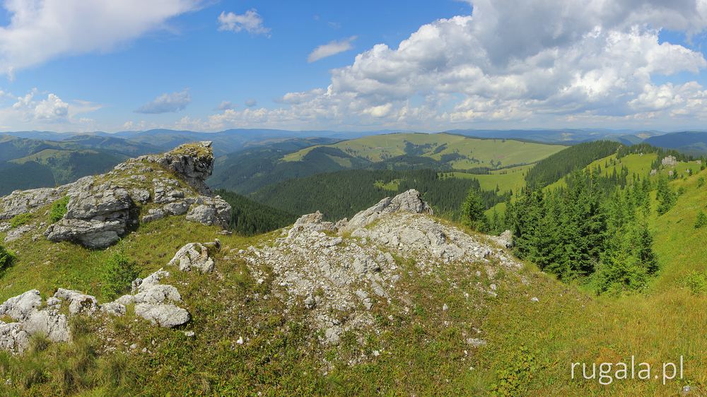 Przedwierzchołek Țapul Mare w Górach Țibău