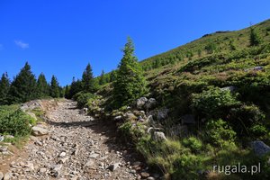 Droga w kierunku szczytu Frumoasa, Góry Sybińskie
