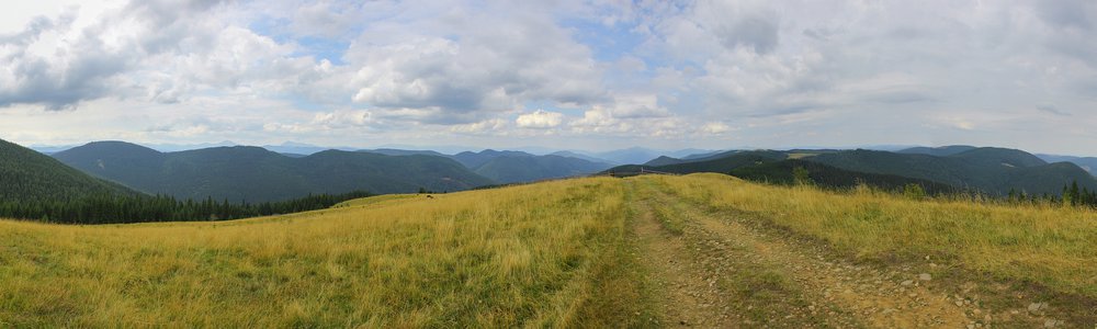 Hordi Dobrotivska (Горді-Добротівська) - 1357 m