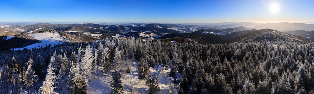 Gorc (winter) - 1228 m