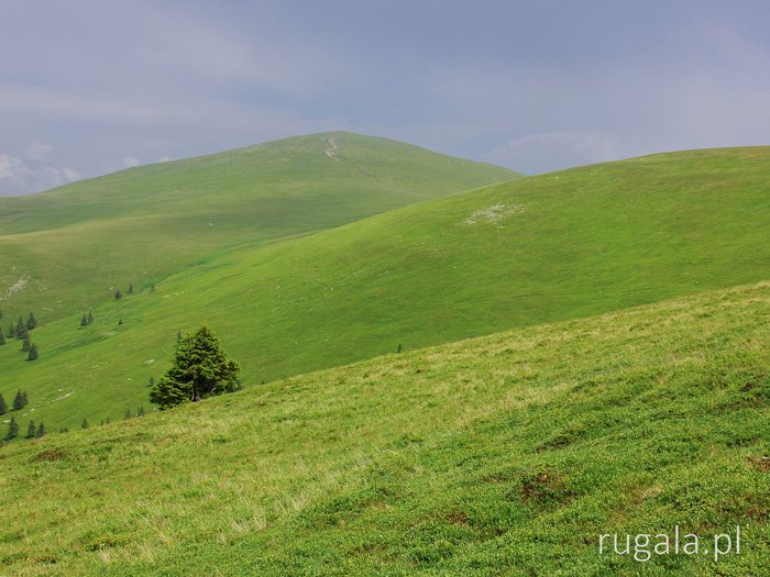 Șureanu Mountains